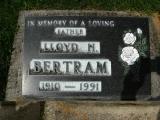 image of grave number 146095